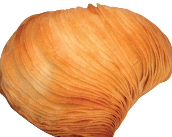 Sfogliatella riccia