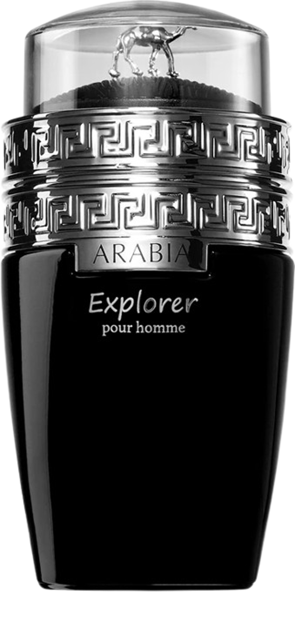 Arabia Explorer - Le Chameau