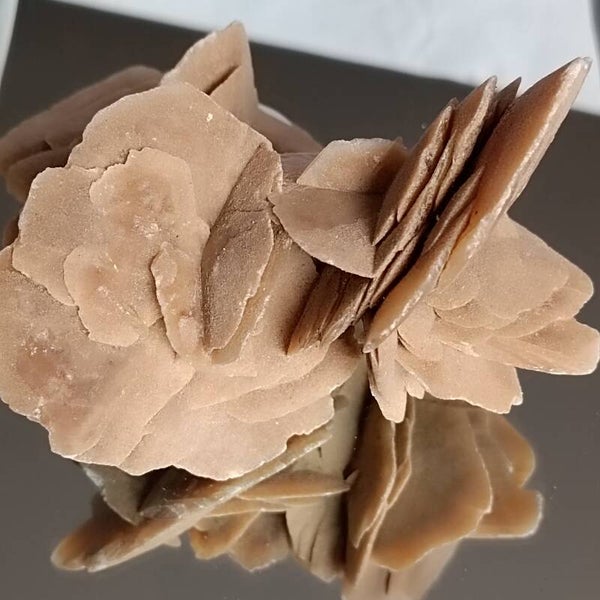 Woestijnroos natuurlijke vormen 444 gram