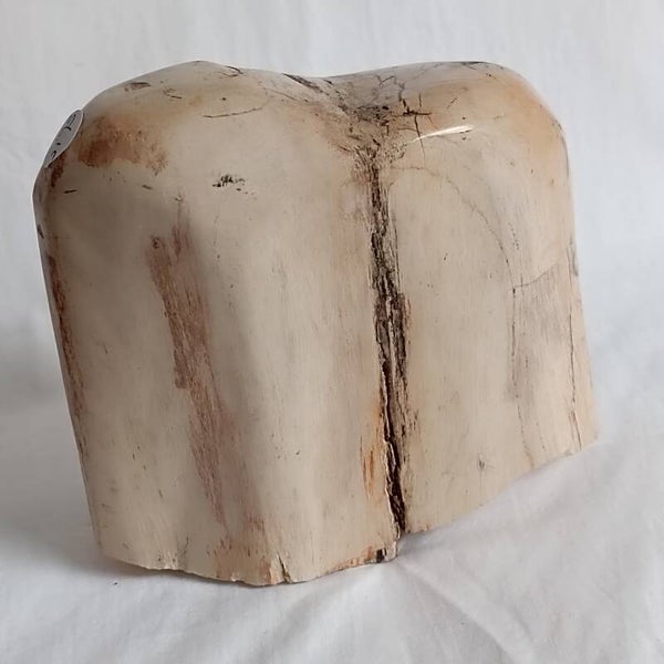 Versteend hout 934 gram