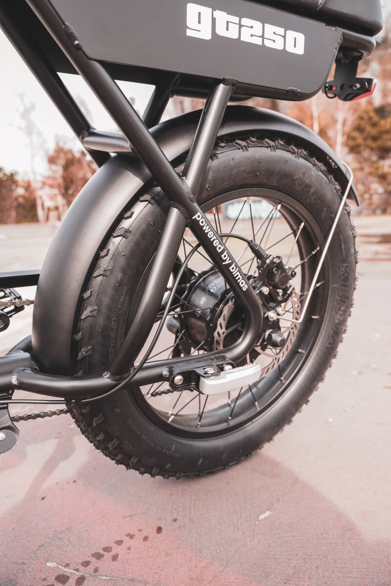 e fat bike gt 250
