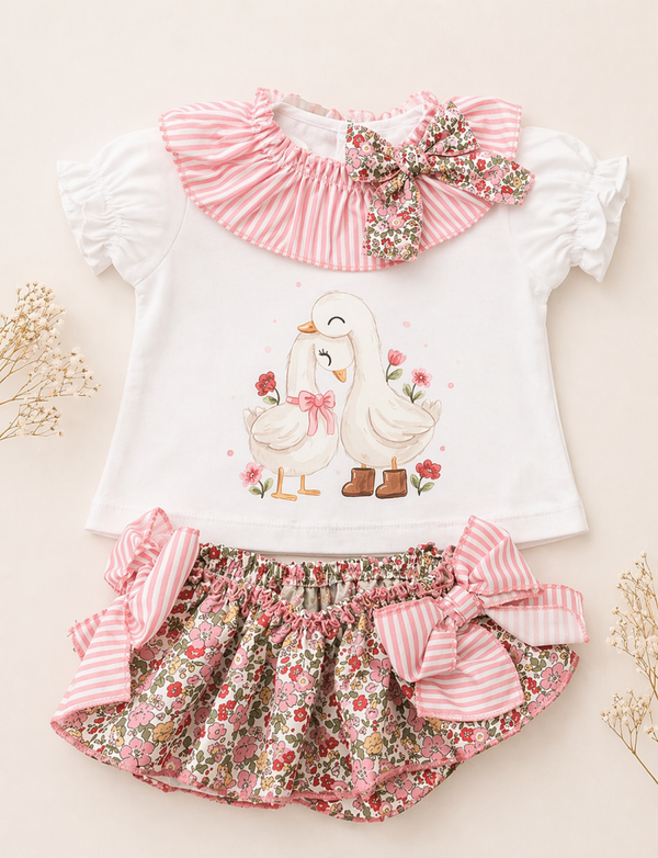 Conjunto oca