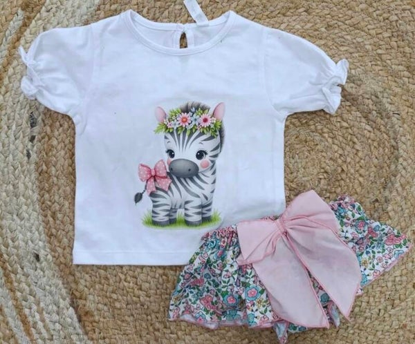Conjunto cebra