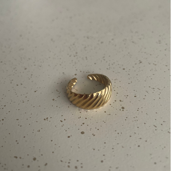 Ring Ribbel