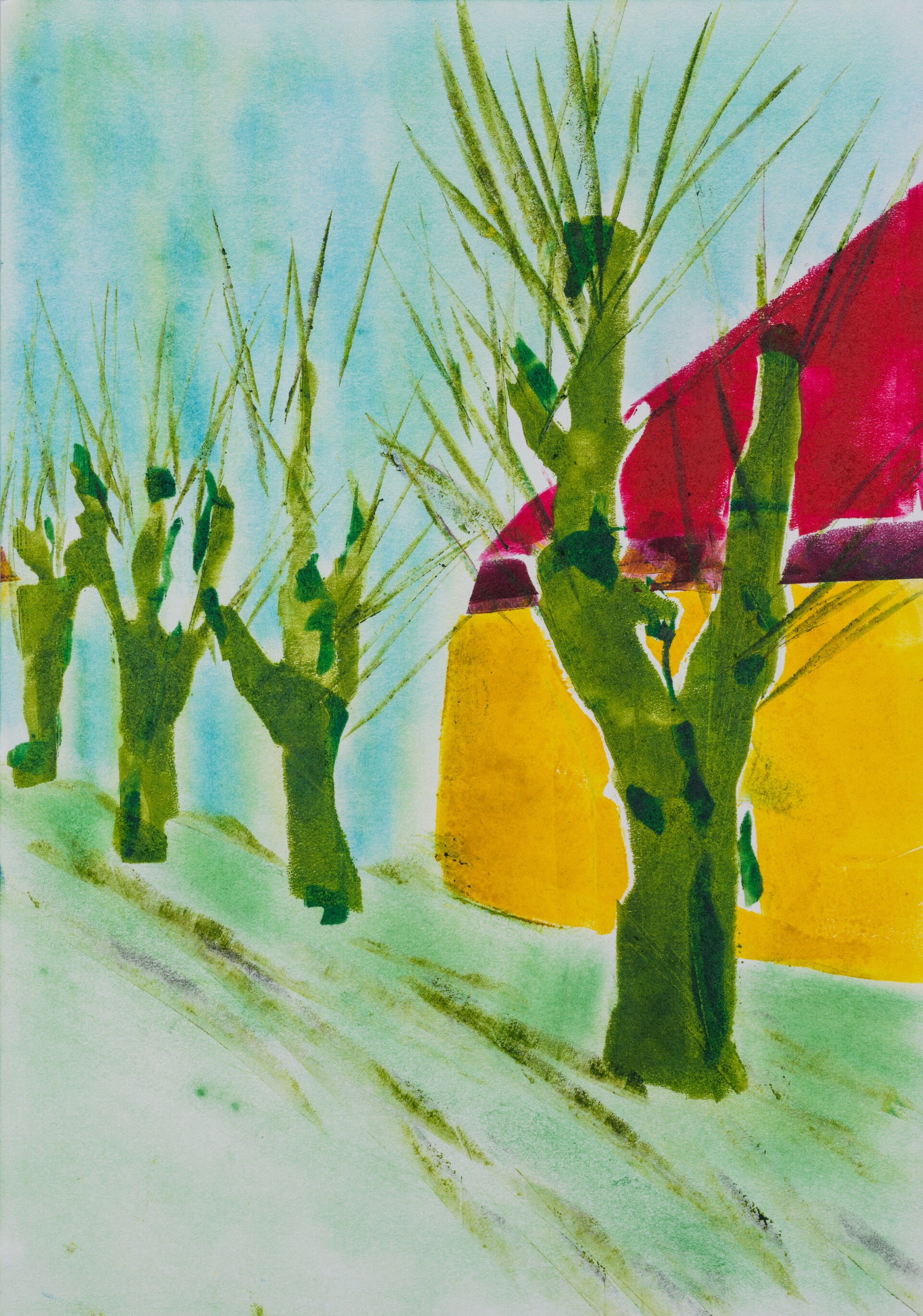 Knotwilgen Dorkwerd - 3