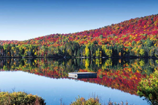 Laurentides- Bientôt disponible