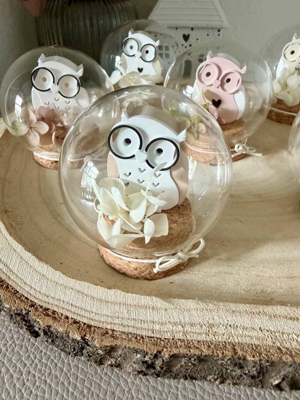 Mini-Eule im Glaszylinder