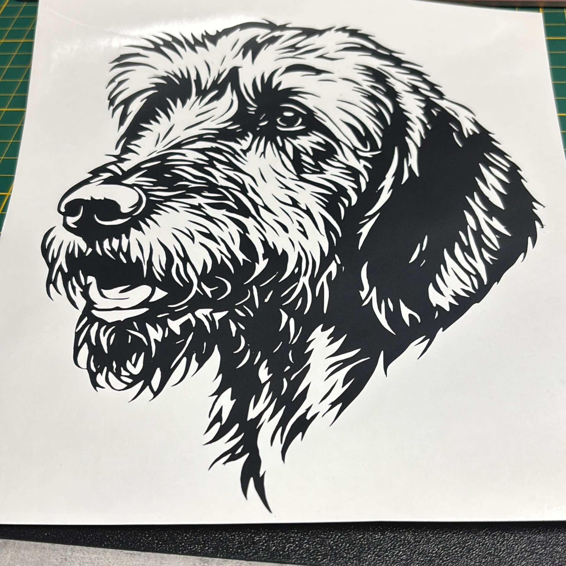 Vizsla Draadhaar sticker