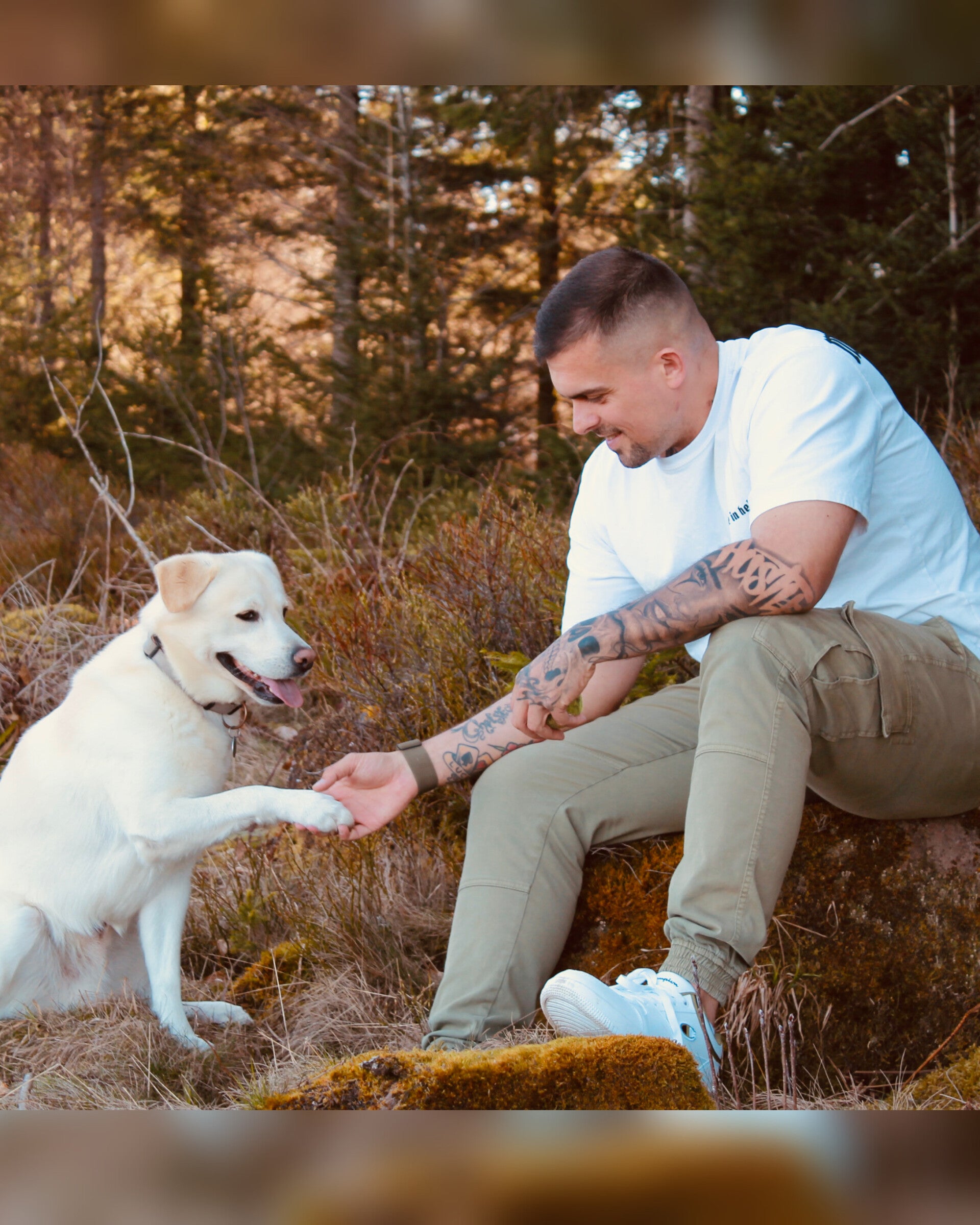 Fellband | Hundefutter | Über uns