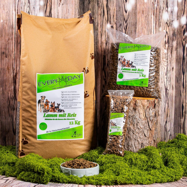 Every Day  - Lamm mit Reis