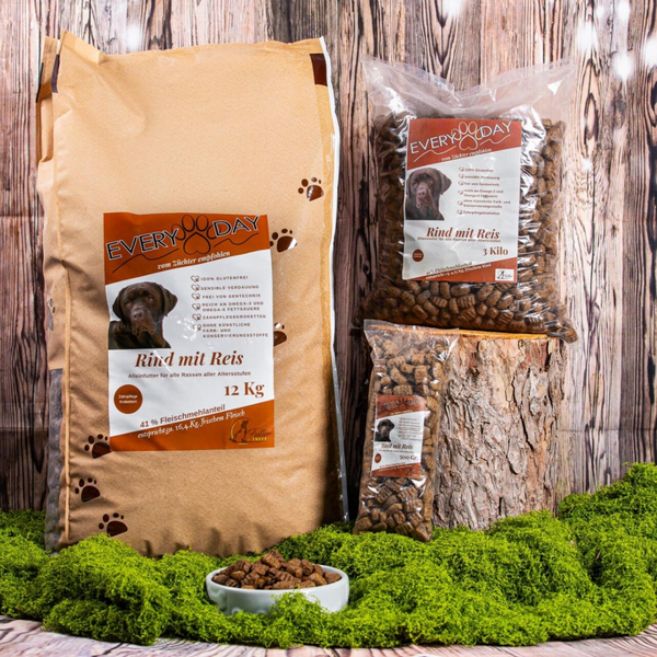 Every Day  - Rind mit Reis