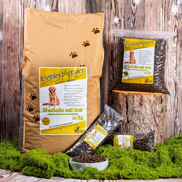 Every Day  - Truthahn mit Reis