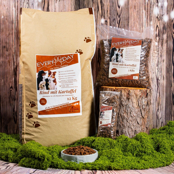 Every Day  - Rind mit Kartoffel