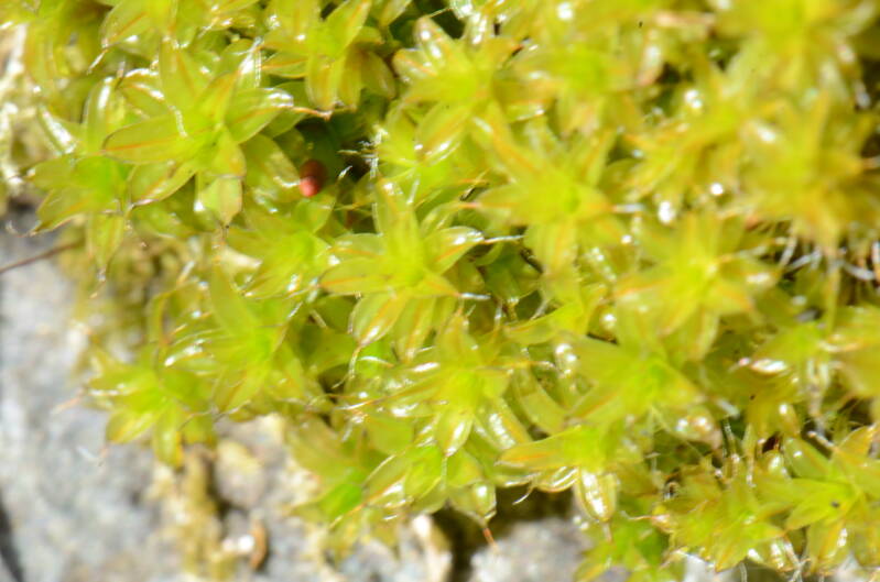 dsc_7225-standard.jpg