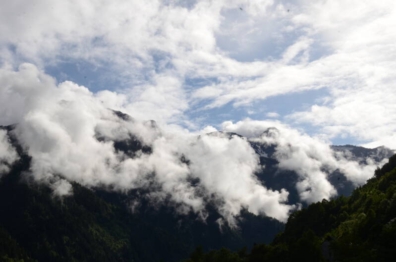 dsc_7917-standard.jpg
