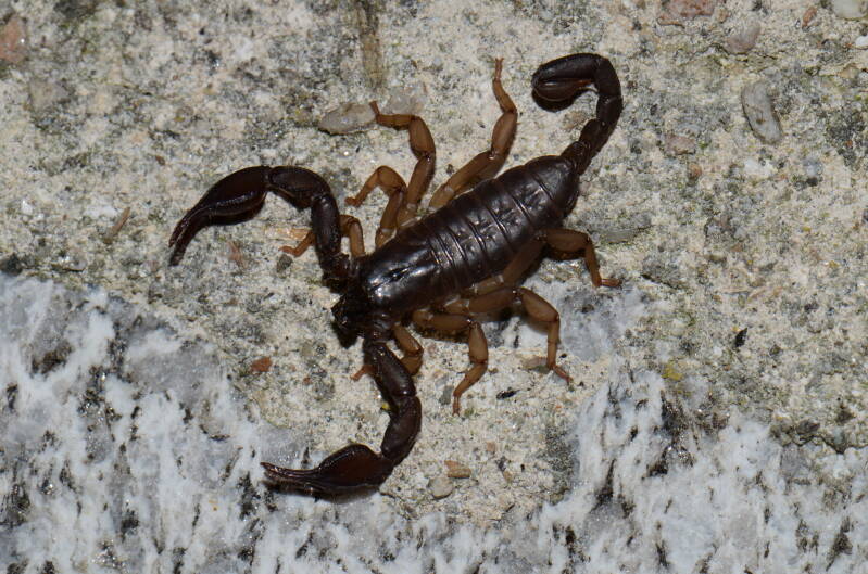 dsc_8377-standard.jpg