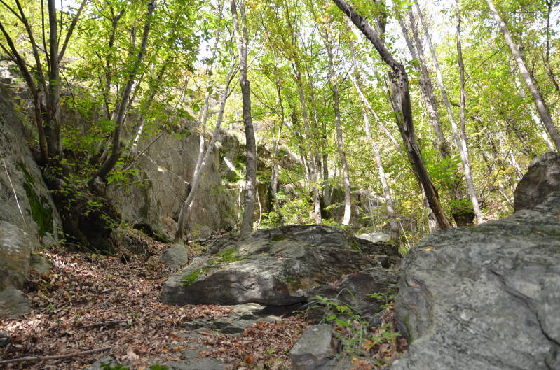 dsc_8646-standard.jpg