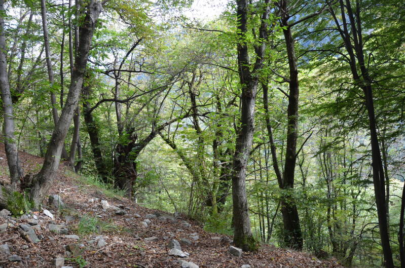 dsc_8680-standard.jpg