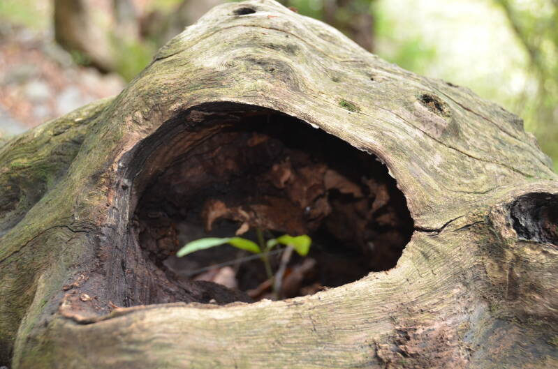 dsc_8729-standard.jpg