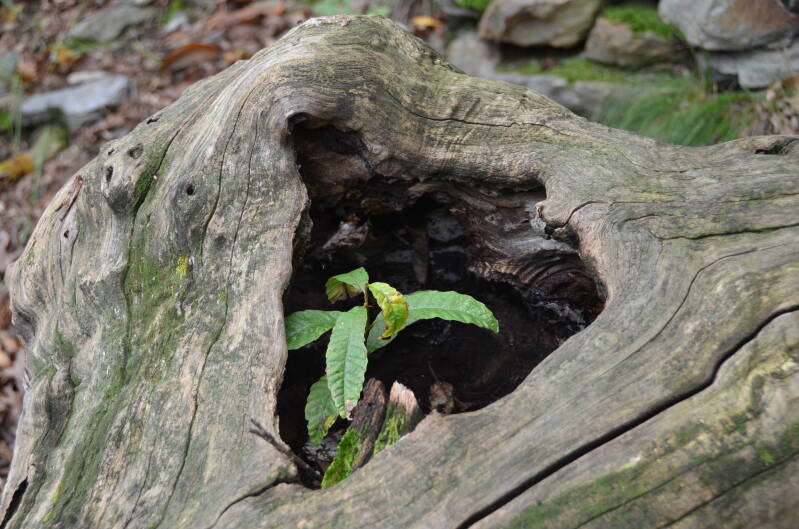 dsc_8744-standard.jpg