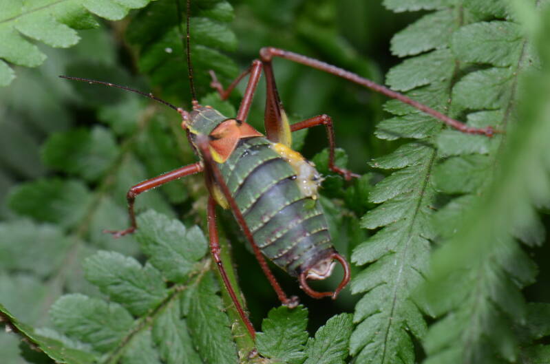 dsc_8800-standard.jpg