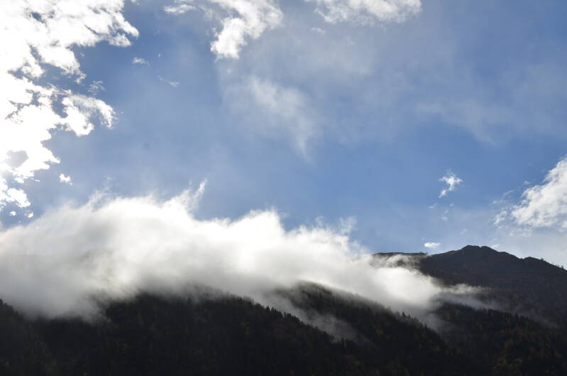 dsc_9395-standard.jpg