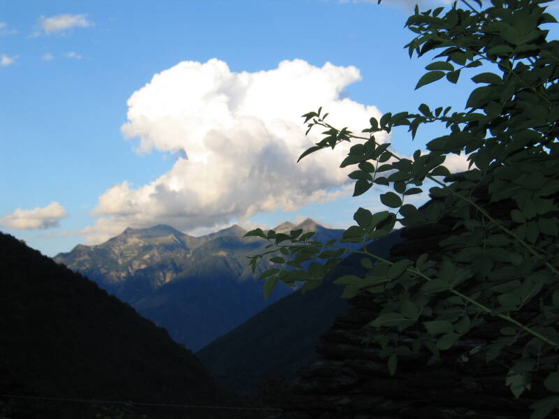 img_6182-standard.jpg