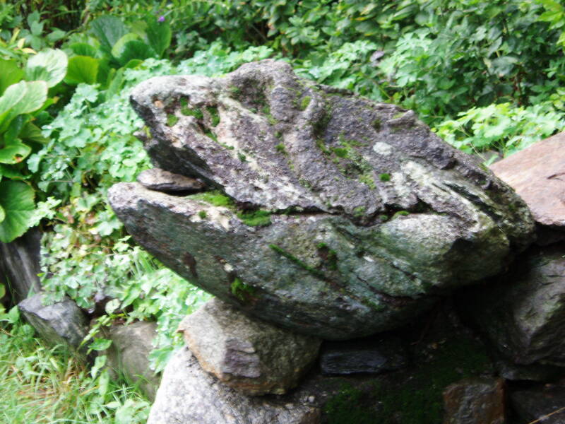 p1010277-standard.jpg