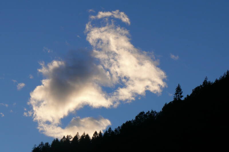 p1800124-standard.jpg
