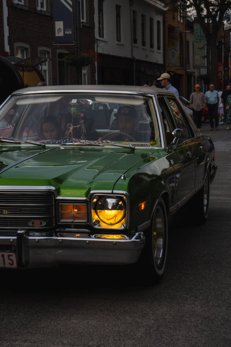 dcp02981-standard.jpg