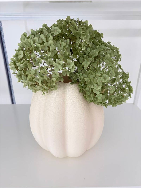 Grote vaas pompoen