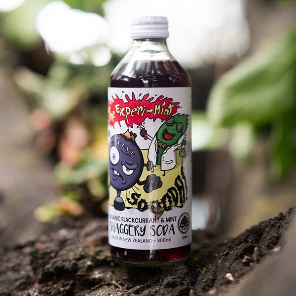 Little Shaggery Farm Experi-Mint Organic Soda 300ml