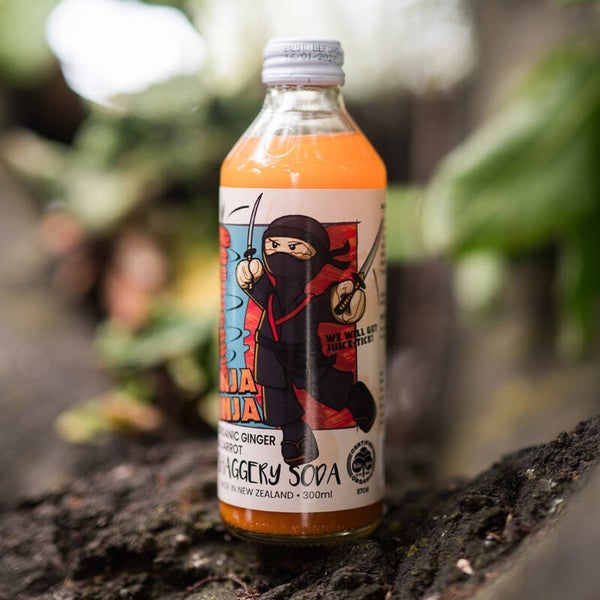 Little Shaggery Farm Ginger Ninja Organic Soda 300ml