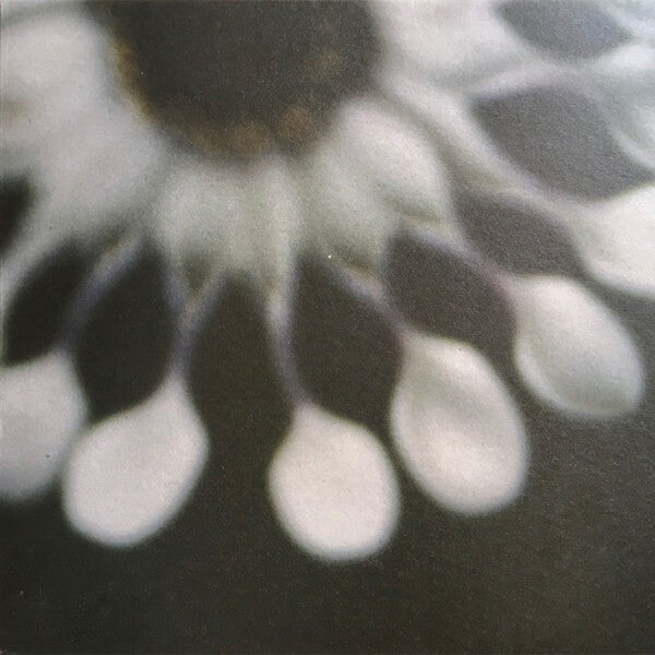 79486 // N5 - BERGEN SKIZZEN + NOTIZEN (LP)