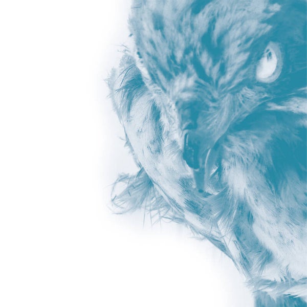 TF136 // THE USE OF ASHES - ICE 67 (WHITE VINYL LP)