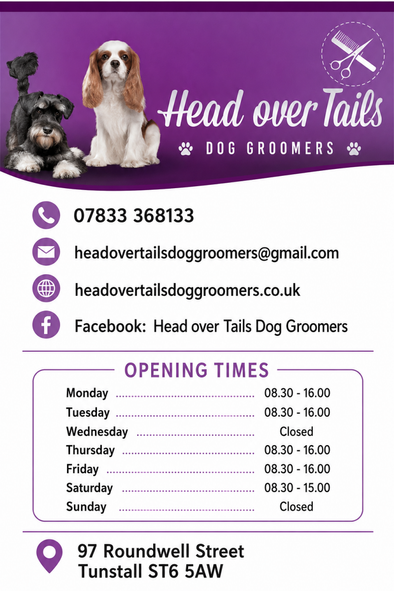 head-over-tails-standard.png