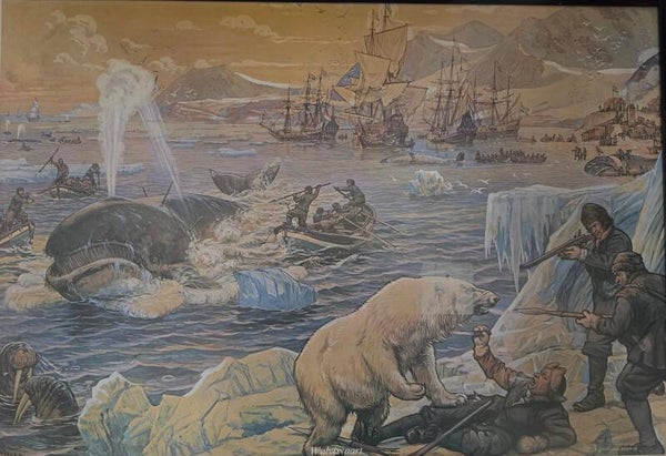 Eisbär am Nordpol im Kampf