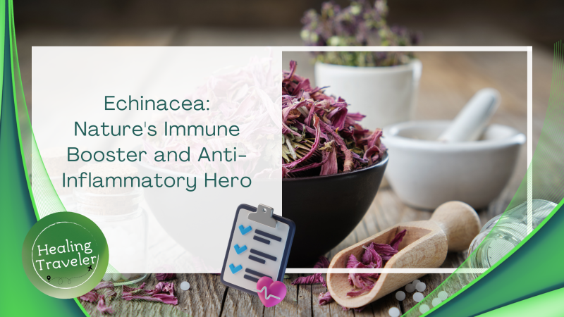 Echinacea: Nature's Immune Booster and Anti-Inflammatory Hero