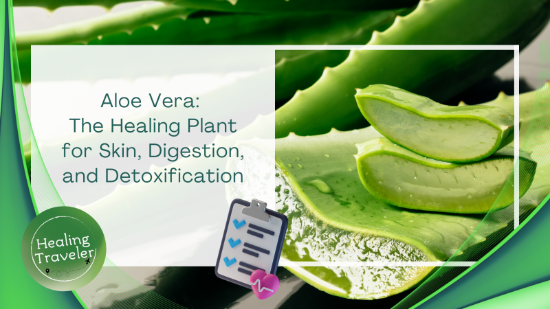 Aloe Vera: The Healing Plant for Skin, Digestion, and Detoxification
