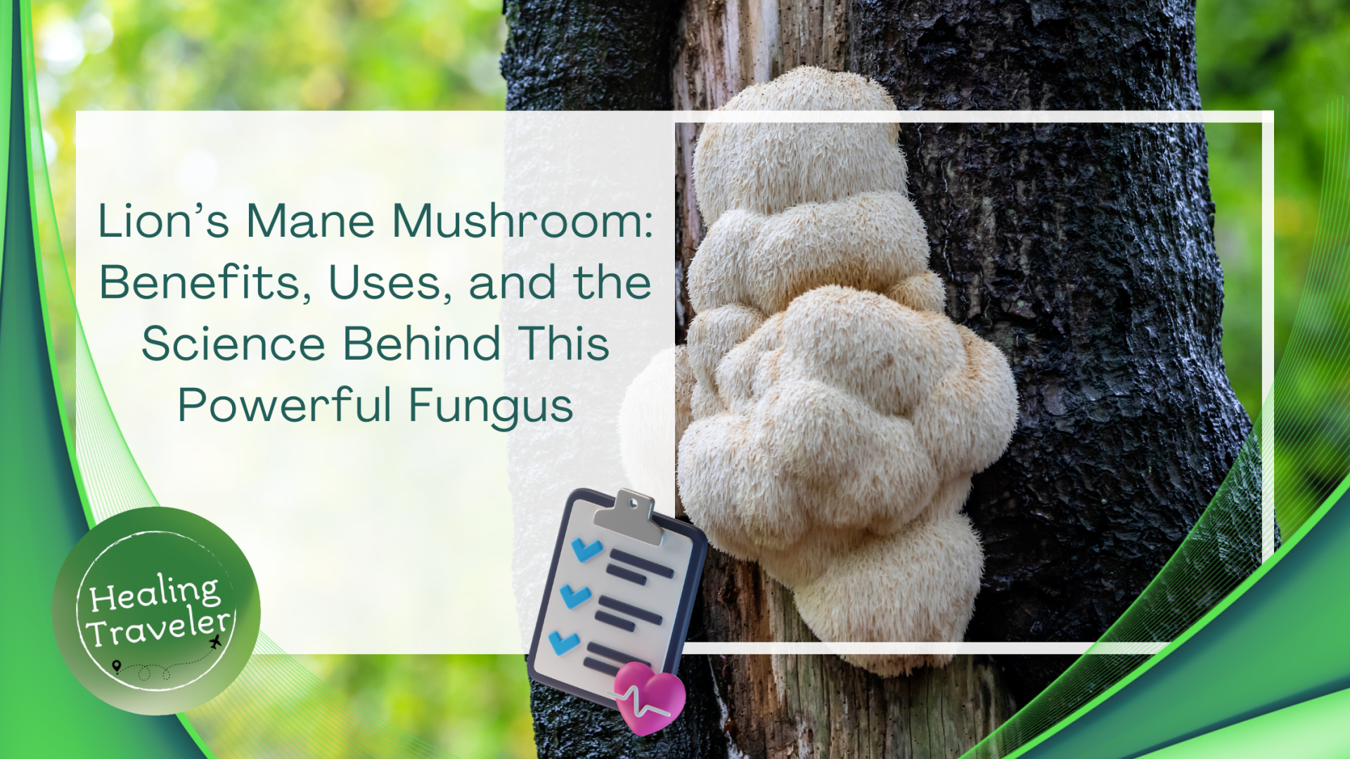 Lion’s Mane Mushroom: Benefits, Uses, and the Science Behind This Powerful Fungus