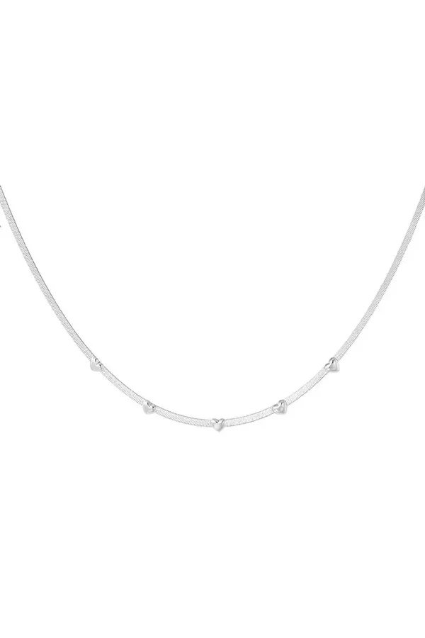 amy ketting