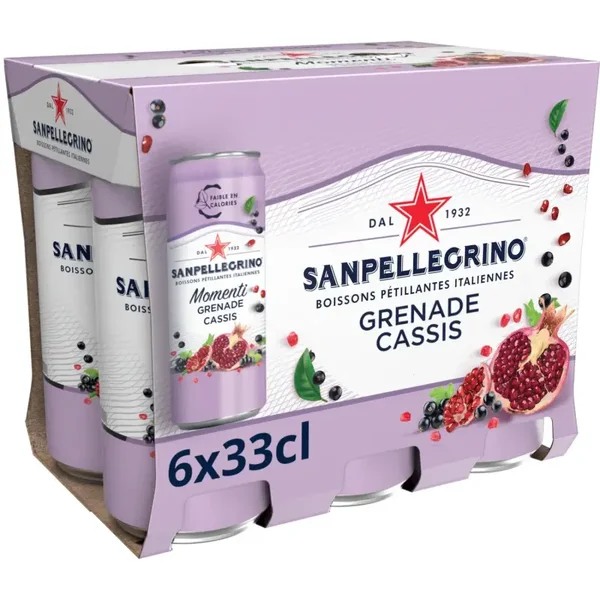 San Pellegrino Momenti Granatapfel-Schwarze Johannisbeere – 6er-Pack (6 x 33 ml)