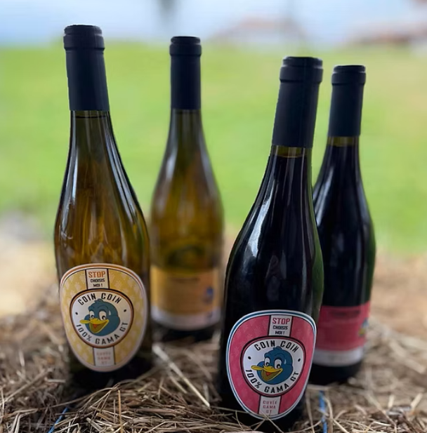 CUVEE COIN-COIN 100% GAMA GT