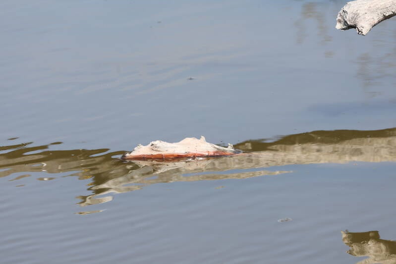 ast-wasser_045a2023-standard.jpg