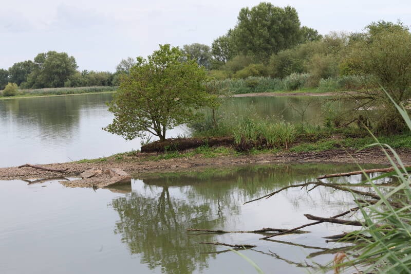 baum-landschaft-vi_045a3236-standard.jpg