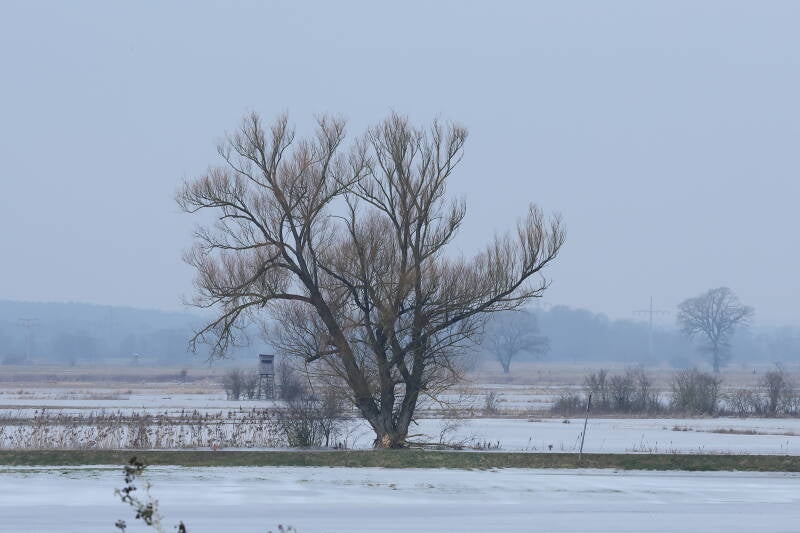 baum-winter_045a0756-standard-1c2uk1.jpg