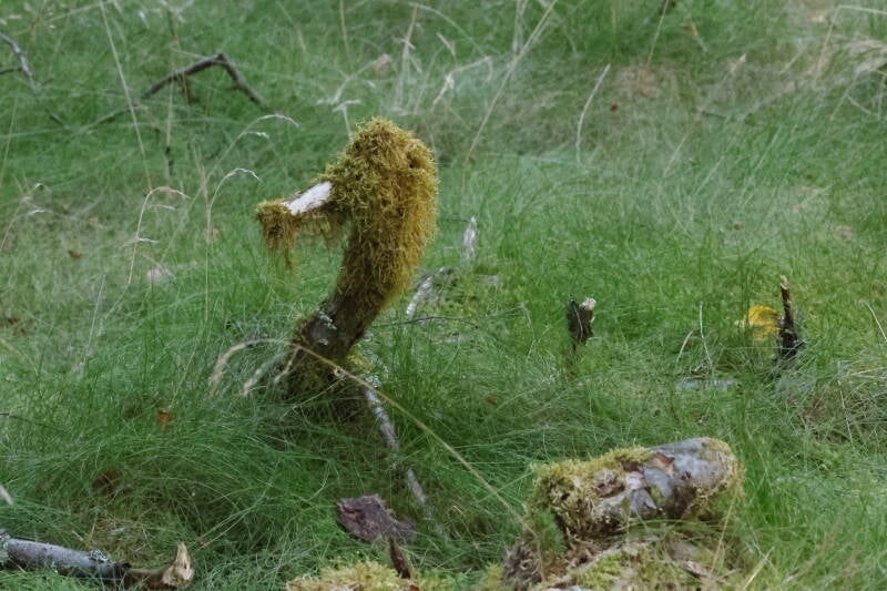 entenskulptur_045a4504-standard.jpg