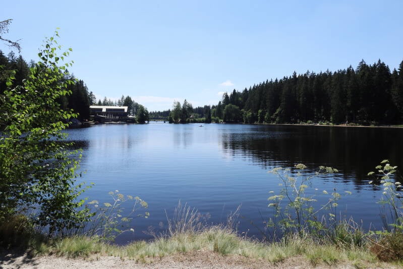 fichtelsee_img_9743-standard.jpg