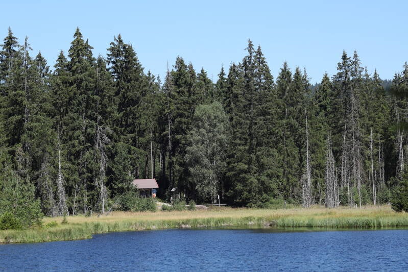 fichten-fichtelsee_045a4376-standard.jpg