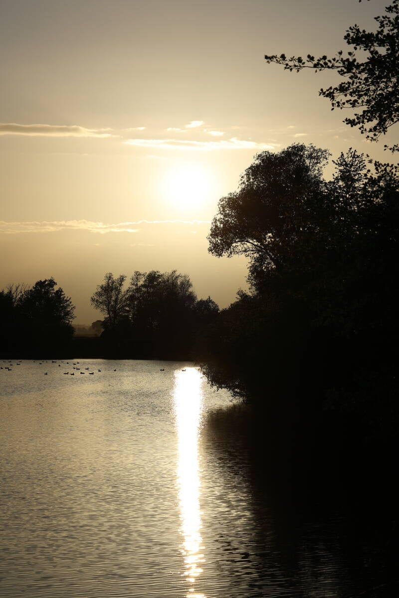 landschaft-abendlicht_045a2541-standard.jpg